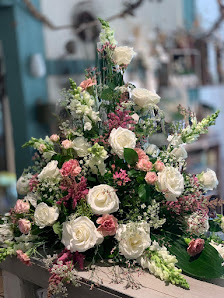 Mauerblümchen