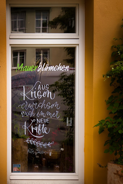 Mauerblümchen