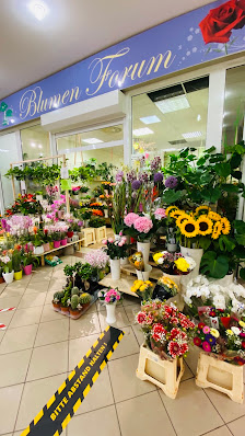 Blumen Forum