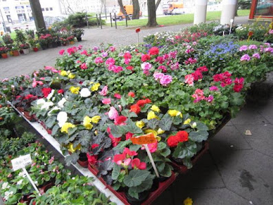 T&T Blumen-Textilien-und Geschenkartikel