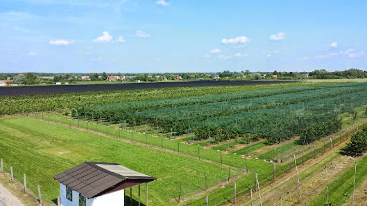 Pomona Gartenbau GmbH & Co. KG