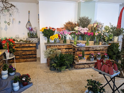Grüne Oase Floristikgeschäft