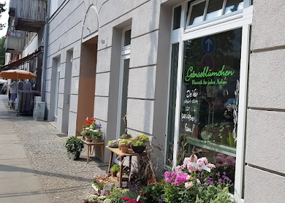 Gänseblümchen Blumen & Floristik Inh. Nicole Arndt