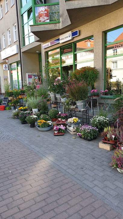 Röhl Franka Blumen