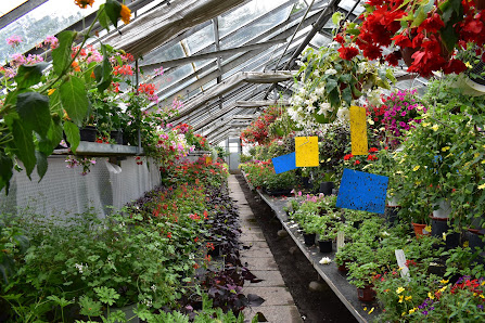 Blumen-Kunze - Gärtnerei am Moorbad