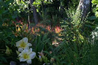 Dapoz Gartengestaltung