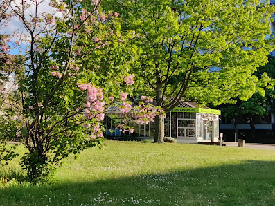 Blumen Hettmann