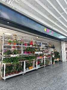 Mai Blumen SMC