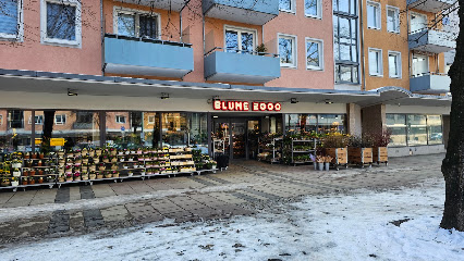 BLUME2000 Frankfurt Oder