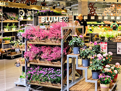 BLUME2000 im Edeka Habermann