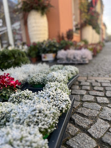 Blütenzauber Floristik