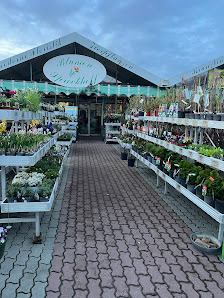 Blumen Sprockhoff Inh. Maaß & Maaß GbR