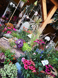 Gärtnerei Vetter - Blumenfachgeschäft und Gärtnerei