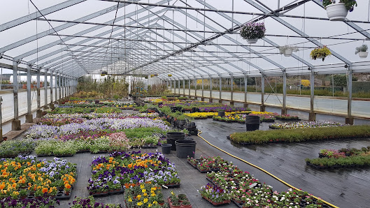 Gärtnerei Gartenbau Welzel
