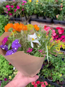 T&C Blumen