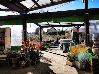 B&M Pflanzenparadies GmbH