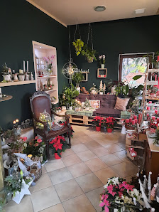 Blumen,Stil & Ambiente Stephanie Scharein