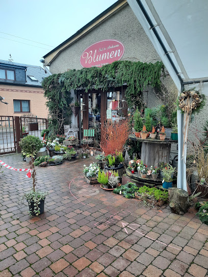 Blumen,Stil & Ambiente Stephanie Scharein