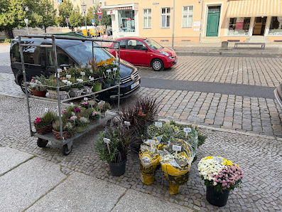 Blumenladen Nr. 88