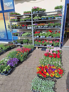 Blumen & Topfpflanzen