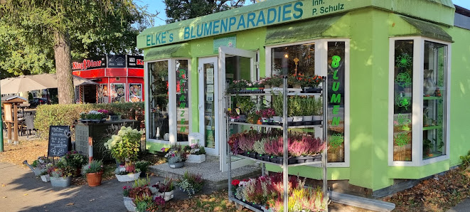Elkes Blumenparadies Inh. P.Schulz