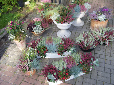 Garten-Rein Baumschule & Gartengestaltung