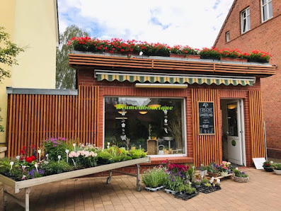 Schwander Baumschulhandel & Floristik GmbH