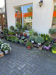 Blumenhaus Scholz