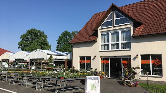 Blumenhaus Scholz