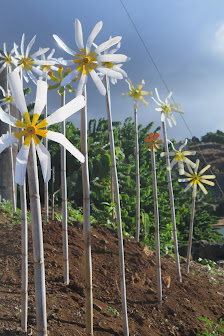 Gartenservice Hennigsdorf