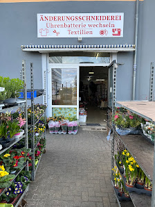 Blumen und Pflanzen