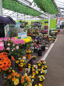 Teltower Gartenbau