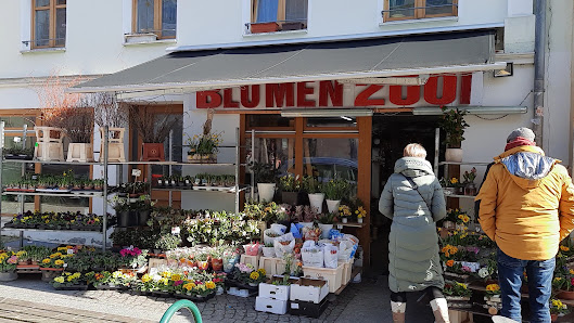 Blumen 2001