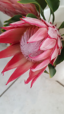 Der Blumenladen