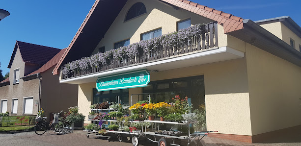 Blumenhaus Baudach