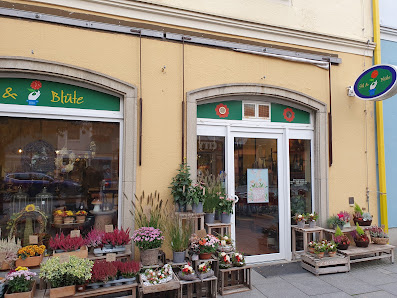 Stil & Blüte