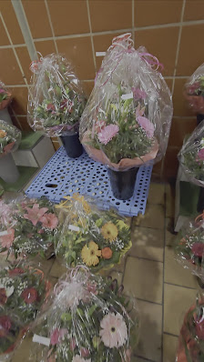 Blumen Harburg S-Bahnhof