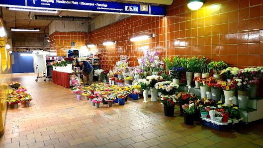 Blumen Harburg S-Bahnhof