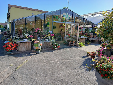 Gärtnerei Kullick Inh. Floristmeisterin Beate Schinagl