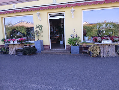 Gärtnerei Kullick Inh. Floristmeisterin Beate Schinagl