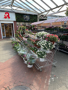 Blumen Planet