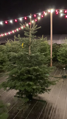 Riechers GmbH