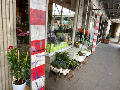 Blumenhaus Flower & Feelings