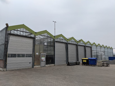 Fläming-Blumen-Felgentreu GmbH & Co KG