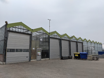 Fläming-Blumen-Felgentreu GmbH & Co KG