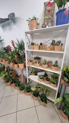 Blumenzauber