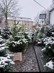 Mai Loan's Blumen & Pflanzen
