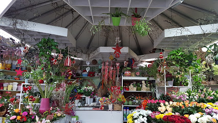 Mai Loan's Blumen & Pflanzen