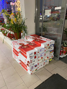 Pham Blumen und Pflanzen