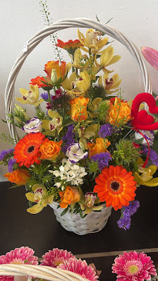 Blumen & Pflanzen